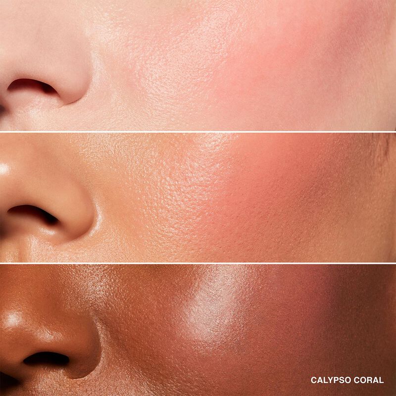 Bobbi Brown Pot Rouge for Lips & Cheeks image number 11